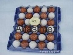 30 pcs Plastic Egg Tray (only down)