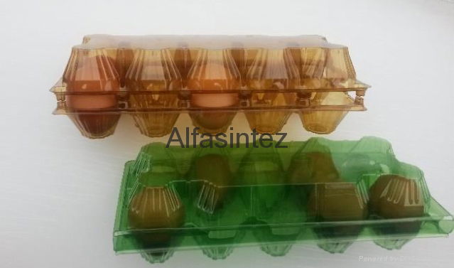 10 pcs egg tray 2