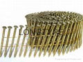 15/16 Degree Flat Top Wire Collation Galvanized Coil Nails 1