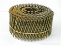 15/16 Degree Flat Top Wire Collation Galvanized Coil Nails 2