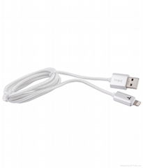 Apple Lightening Cable with 1 year warranty 