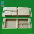 Bagasse pulp packaging tray ,box for battery 1
