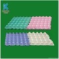 Recycled paper pulp egg packaging trays  3