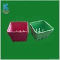 Environmental bagasse pulp fresh fruit packaging tray,container 4