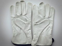 High quality factory gloves 