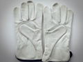 Cow grain leather gloves  1