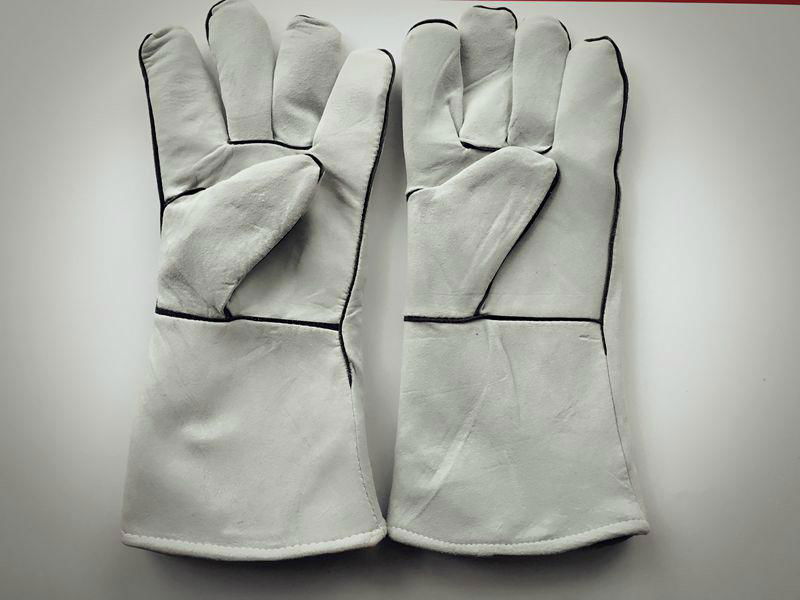 Goat grain leather gloves