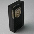 Clear Acrylic Metal Embedded Award