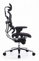  Bonas Ergonomic chair