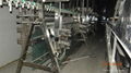 1000 poultry chicken slaughtering line 2