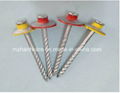E. G. Galvanised Assembly Screw Roofing Nail with Cap 1