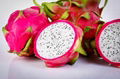 Fresh Dragon Fruit 3