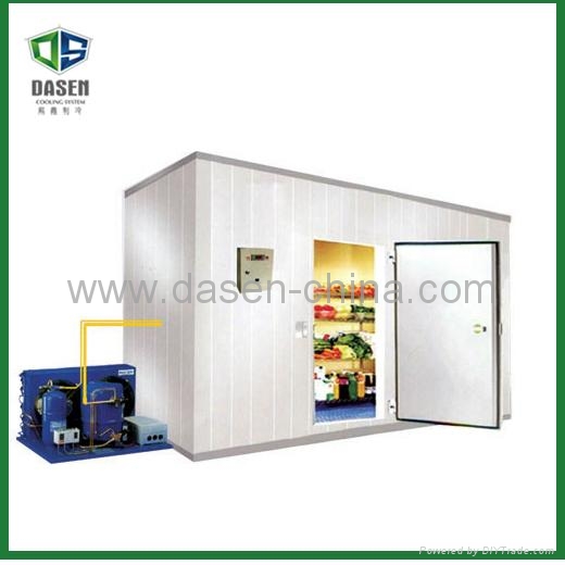 Fireproof Big Freezer Room for Logistics Use DCM400 DASEN (China