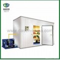 Fireproof Big Freezer Room for Logistics Use 3