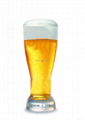 beer glass cup drinking glass cup