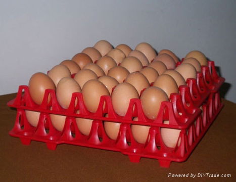 plastic egg tray mould  4