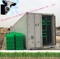 Hydroponic barley grass sprout system/ Barley grass growing machine room 5