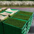 Hydroponic barley grass sprout system/ Barley grass growing machine room 3