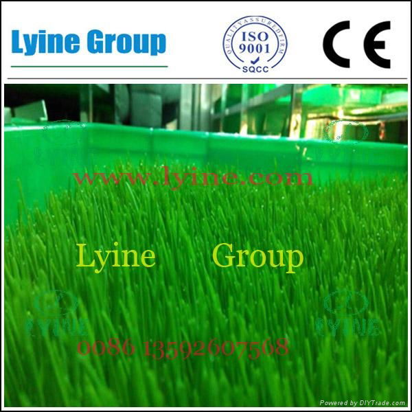 Hydroponic green fodder sprouting machine for livestock 4