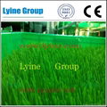 Hydroponic green fodder sprouting machine for livestock 4