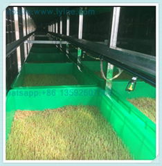 alfalfa seedling making machine 