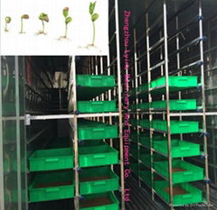 2016 Hydroponica fodder indoor machine hydroponics system led grow lights