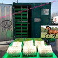 animal fodder machine hydroponic machine 1
