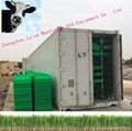 animal green fodder making machine 3