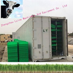 Long time working hydroponic cow horse sheep feeding system