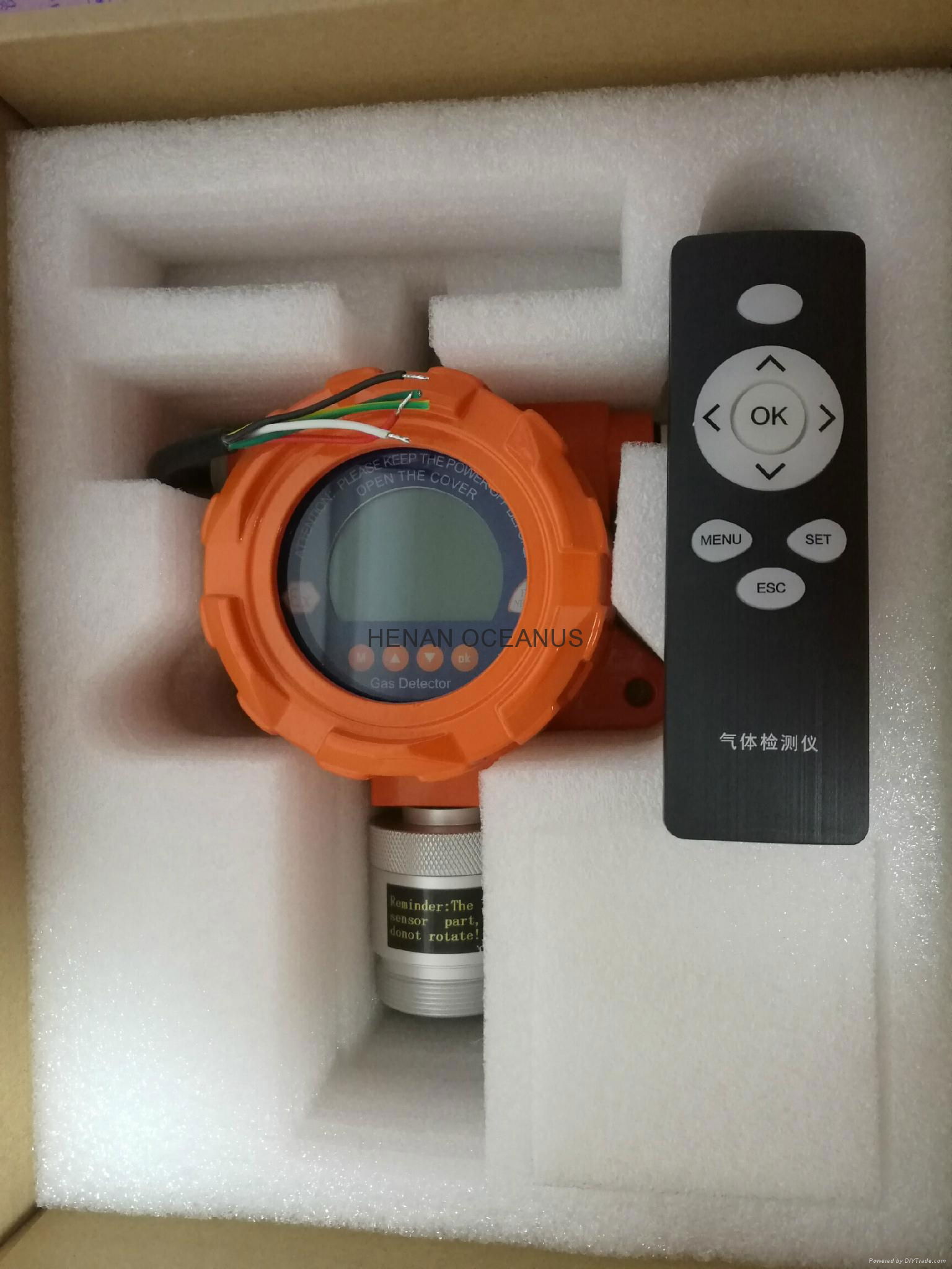 Fixed Carbon monoxide CO gas detection system 4