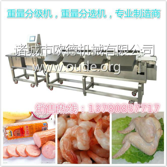 Automatic conveyor checkweigher Weight Sorting Machine