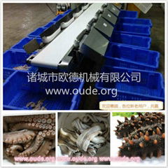 Tilapia mossambica Checkweigher