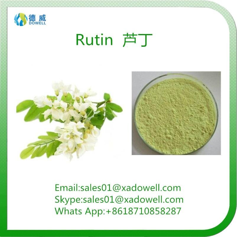  Plant Extract Powder Rutin CAS No:153-18-4 EP98%Min   NF11 95%Min   DAB 98%Min