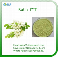 Plant Extract Powder Rutin CAS