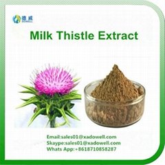 High Quality Milk Thistle Extract Silymarin 80%