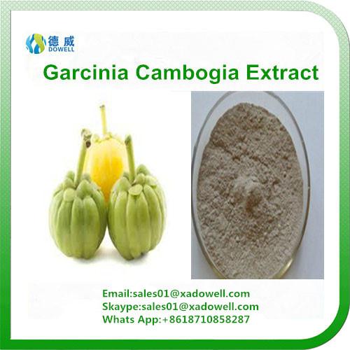 Garcinia Combogia Extract HCA (Hydrogen Citric Acid) 1