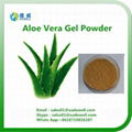 Nutritional Ingredients Aloe Vera Gel Powder