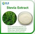 100% Natural and Organic Stevia Leaf