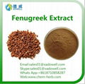 Top quality Natural Organic Fenugreek seed Extract