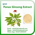 Panax ginseng Extract 80% Ginsenosides 1