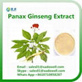 Panax ginseng Extract 80% Ginsenosides