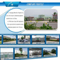 Zhangqiu Metallic Pigment Co.,Ltd