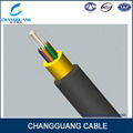 China Supplier Gjpfju 2 Core Mobile Fiber Optical Cable Price 4