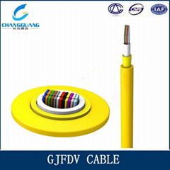 Gjfdv Indoor Ribbon Fiber Cable 48 Core Fiber Optic Cable