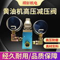 气动泵黄油机高压减压阀 3