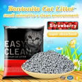 Emily Pets Bentonite Cat Litter