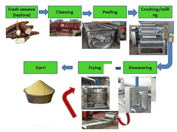 Cassava starch processing equipment 2