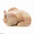 Certified USA Quality Halal Frozen Whole Chicken and Parts 2