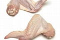 Frozen Whole Chicken and Parts direct