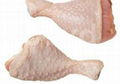 Frozen Whole Chicken and Parts direct U.S supplier 3